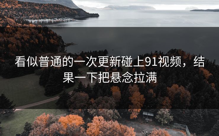 看似普通的一次更新碰上91视频，结果一下把悬念拉满
