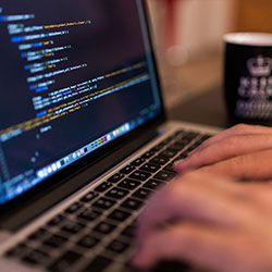 免费吃，免费吃素什么套路