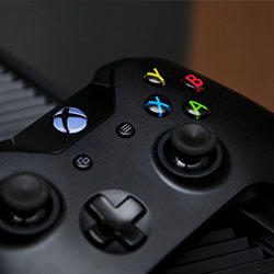 野花视频在线观看免费直播