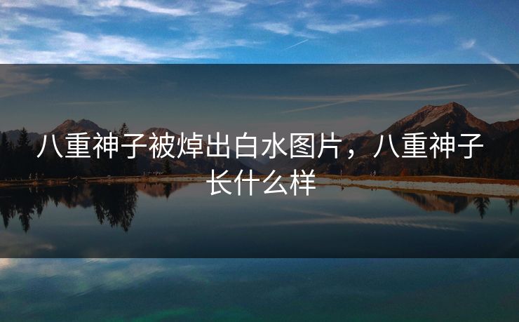八重神子被焯出白水图片，八重神子长什么样