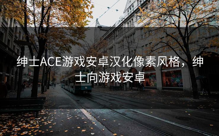 绅士ACE游戏安卓汉化像素风格，绅士向游戏安卓
