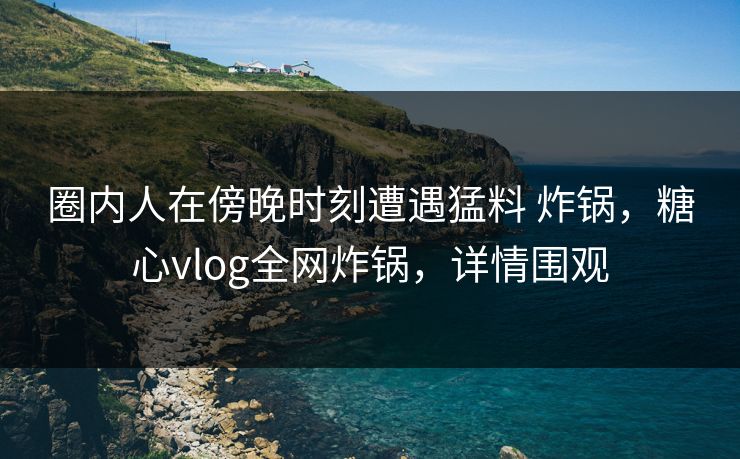 圈内人在傍晚时刻遭遇猛料 炸锅，糖心vlog全网炸锅，详情围观