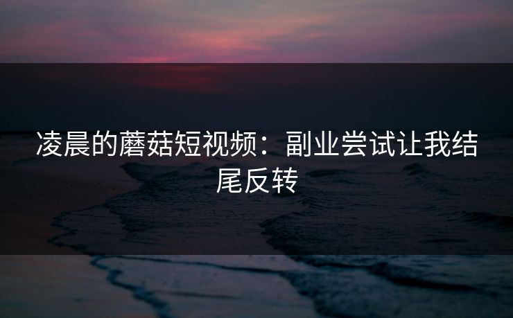 凌晨的蘑菇短视频:副业尝试让我结尾反转