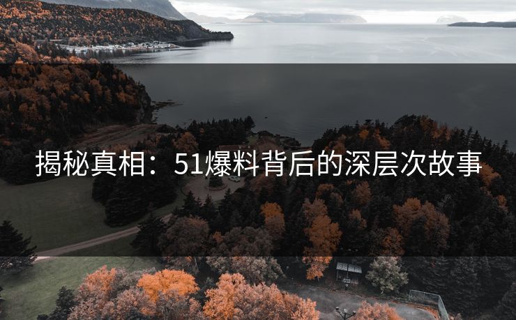 揭秘真相：51爆料背后的深层次故事